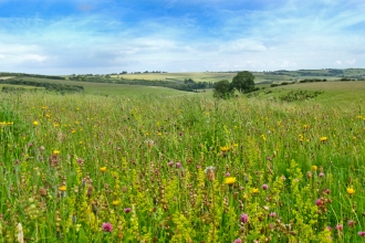 Red Hill Lincolnshire Wolds