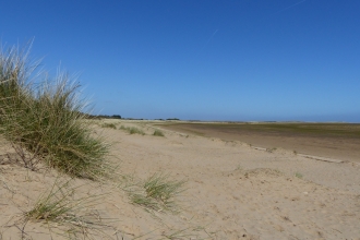 Sand dunes