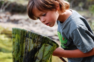 Pond dipping