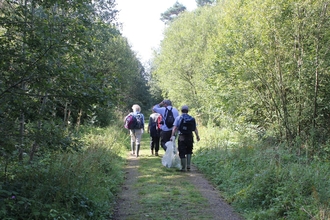 Chambers Farm Wood