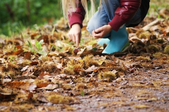 Child foraging