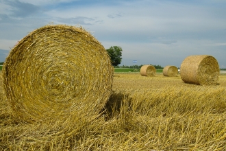 Belarus