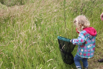 Bug hunt