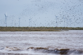Gibraltar Point