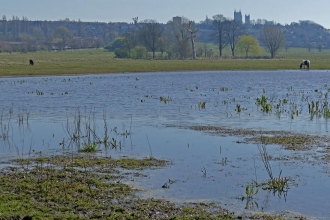 West Common In Lincoln (Caroline Steel)