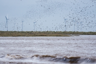 Gibraltar Point