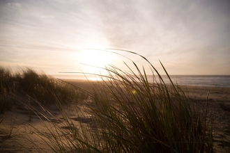 beach and dunes