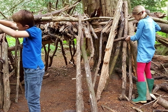 Den building