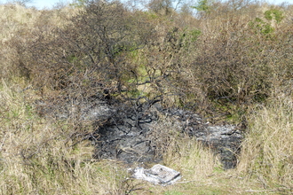 Site of a fire at Gibraltar Point started by a disposable barbecue in April 2021