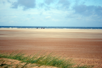 Horseriding on the beach