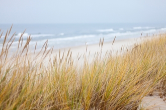 Dunes