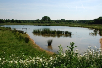 View of a lake at Potteric Carr (c) Kelvin Percival