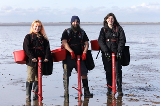 Three people planting seagrass (c)Cate Holburn