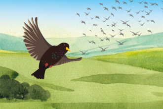 Illustration of a starling flying over a green landscape