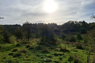 Snipe Dales October 