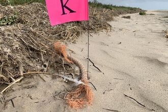 Marked litter for Artefact art exhibition on Gibraltar Point beach