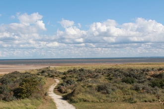 View of sand dunes and beach at Gibraltar Point (c) Barrie Wilkinson