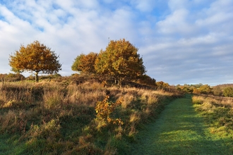 Snipe dales November