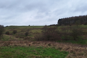 Snipe Dales in February