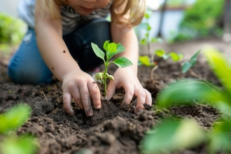 Child planting a seedling