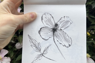 Sketch of a flower and leaf by artist Louise Earnshaw held up outdoors in front of the subject