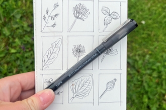 Nature sketching