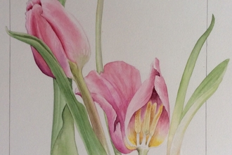 botanical artwork sketch
