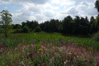 messingham sand quarry sunny day