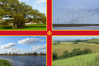 Lincolnshire flag with photo of the landscape of the county