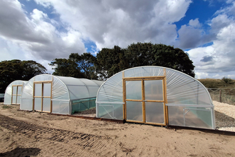 sea view nursery polytunnels