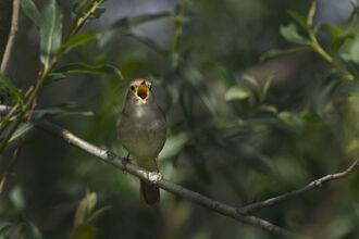 David Tipling/2020VISION