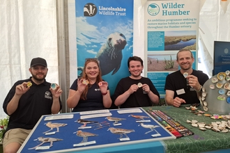 Wilder Humber stand Lincs Show 2025