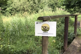 Butterfly trail board at Snipe Dales