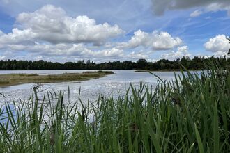 Whisby Nature park