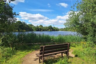 Bench with lake view at Whisby