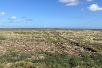 marine interns landscape