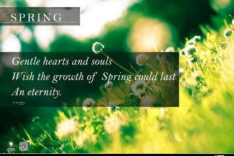 Spring poetry workshop