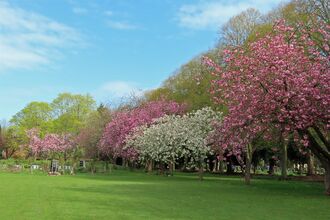 Boston Cemetery