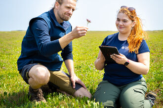 Wilder Humber Salt Marsh Survey at Howden's Pullover (Sea Lavendar) feat. Imogen Bentley & James Horan