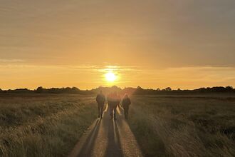 Gibraltar Point sunset walk through south marsh road