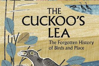 the cuckoo's lea book cover