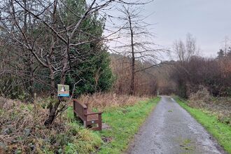 Second board on Eye Spy trail at Snipe Dales 