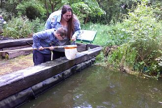 pond dipping at Gib