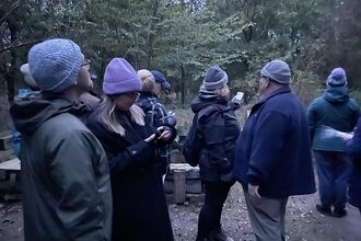 group of people looking for bats at twilight event