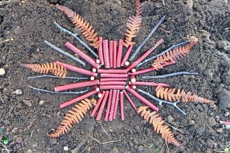 wild art made from sticks