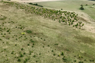 Drone view of Hawthorpe scrub short grassland