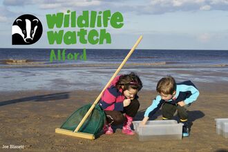 Wildlife Watch Alford sea dipping