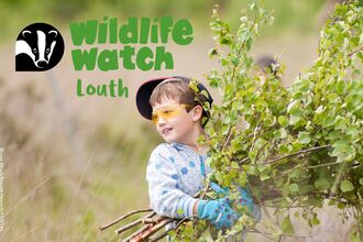 wildlife watch louth hedge planting