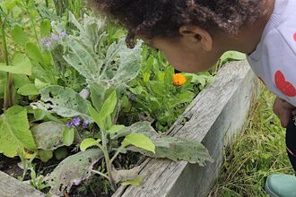 child looking at plants