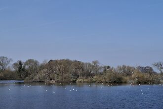 Deeping Lakes